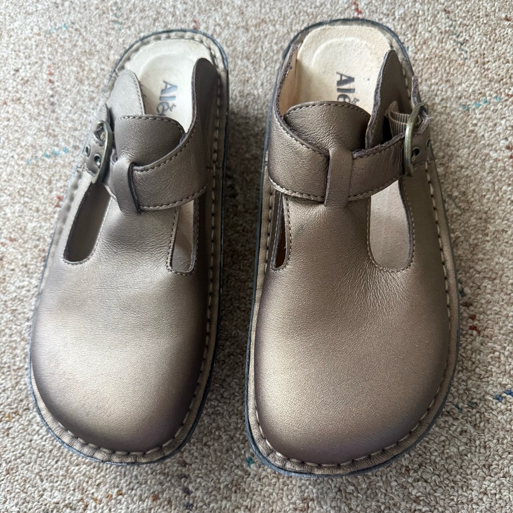 Algeria classic clog in bronzed metallic size 5.5